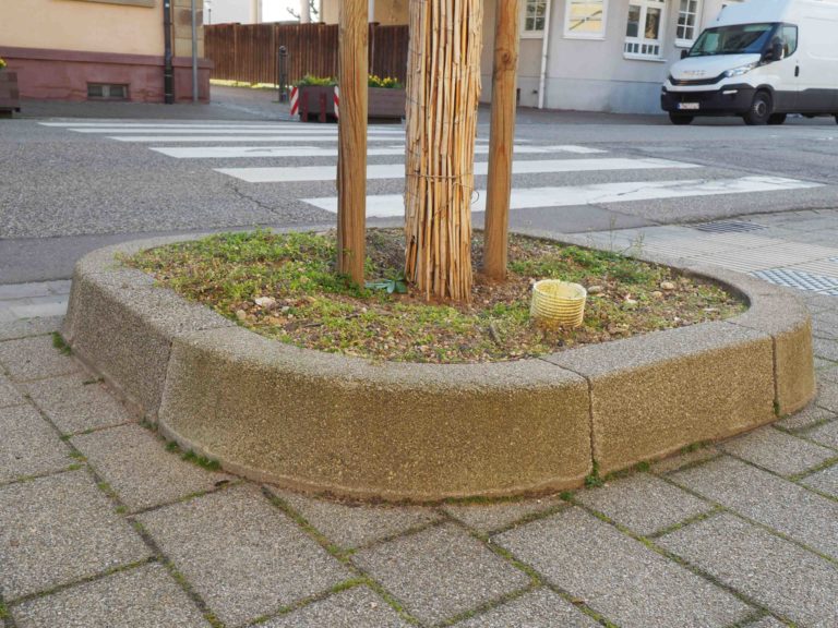 Viele Besucher nach langer Gemeinderatspause