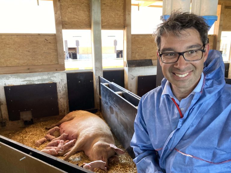 Mehr Tierschutz – aber wie?