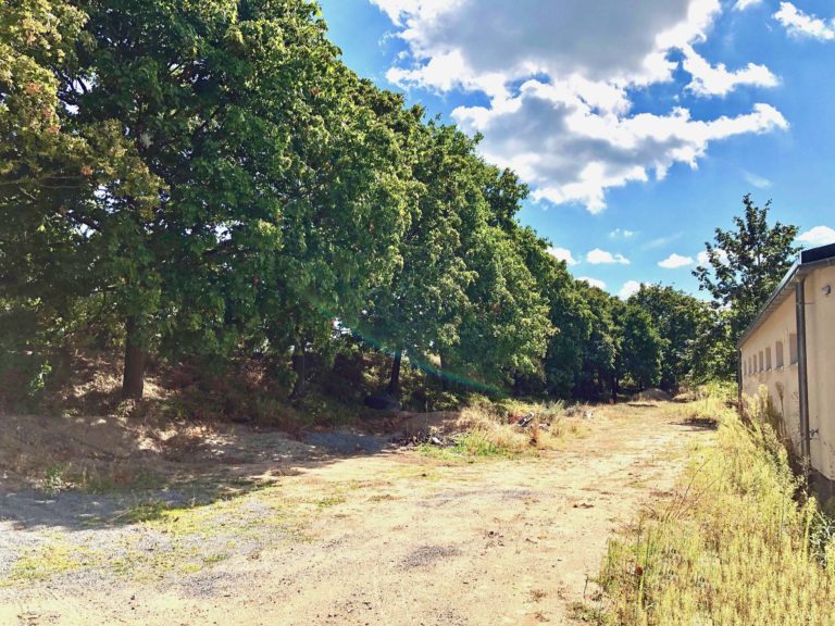 Anmerkungen zur Gemeinderatssitzung am 2.2.2023