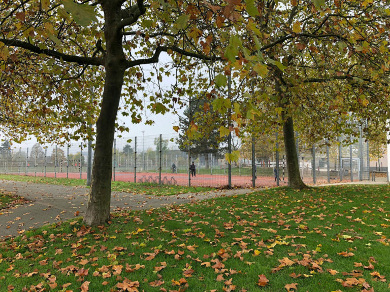 Anmerkungen zur Gemeinderatssitzung am 10.11.2022
