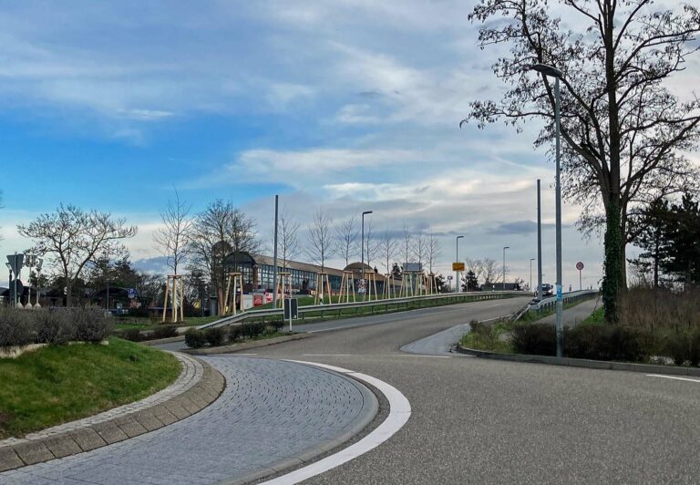 Neue Baumpflanzungen in unserer Gemeinde