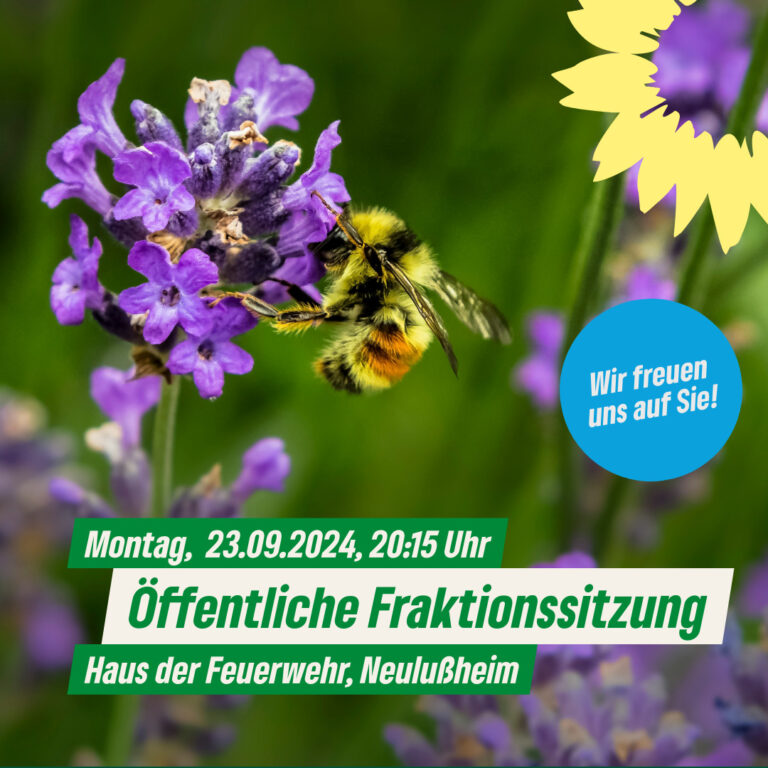 Einladung der GRÜNEN Gemeinderatsfraktion Neulußheim zur öffentlichen Fraktionssitzung am Montag, den 23.09.2024, 20.15 Uhr, im Haus der Feuerwehr