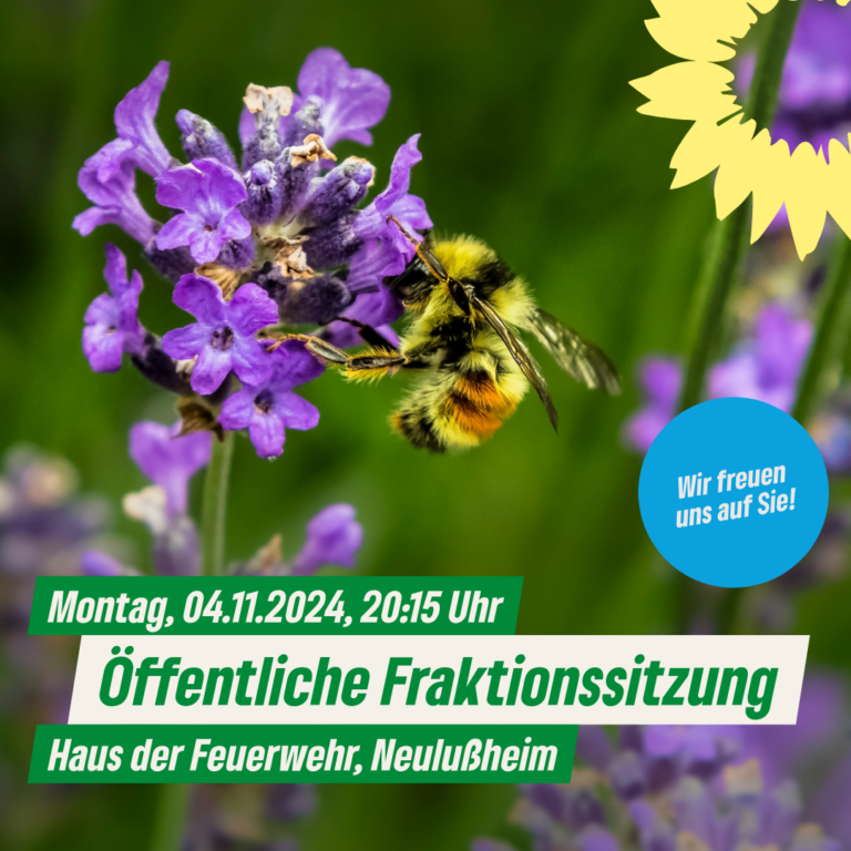 Einladung der GRÜNEN Gemeinderatsfraktion Neulußheim zur öffentlichen Fraktionssitzung am Montag, den 04.11.2024, 20.15 Uhr, im Haus der Feuerwehr