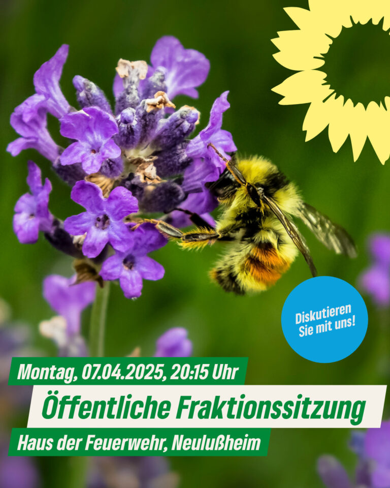 Einladung der GRÜNEN Gemeinderatsfraktion Neulußheim zur öffentlichen Fraktionssitzung am Montag, den 07.04.2025, 20.15 Uhr, im Haus der Feuerwehr