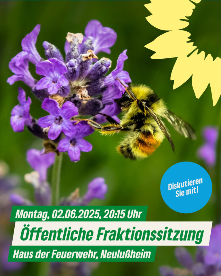 Einladung der GRÜNEN Gemeinderatsfraktion Neulußheim zur öffentlichen Fraktionssitzung am Montag, den 02.06.2025, 20.15 Uhr, im Haus der Feuerwehr