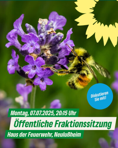 Öffentliche Fraktionssitzung 2025-07-07