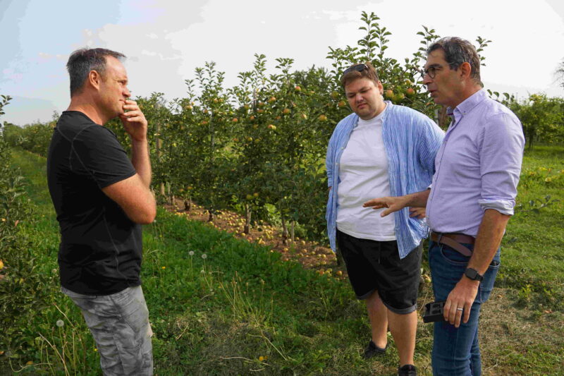 Apfelhof Hoffmann bei den Bäumen