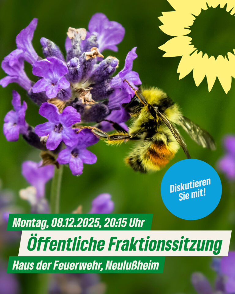 Öffentliche Fraktionssitzung der GRÜNEN Gemeinderatsfraktion am Montag, den 08.12.2025