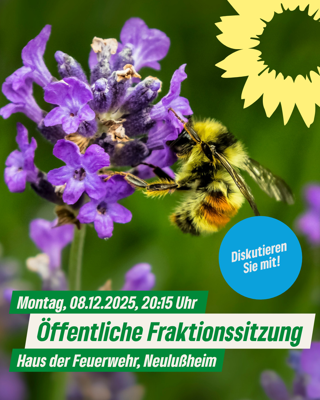 Sharepic öffentliche Fraktionssitzung 2025-12-08