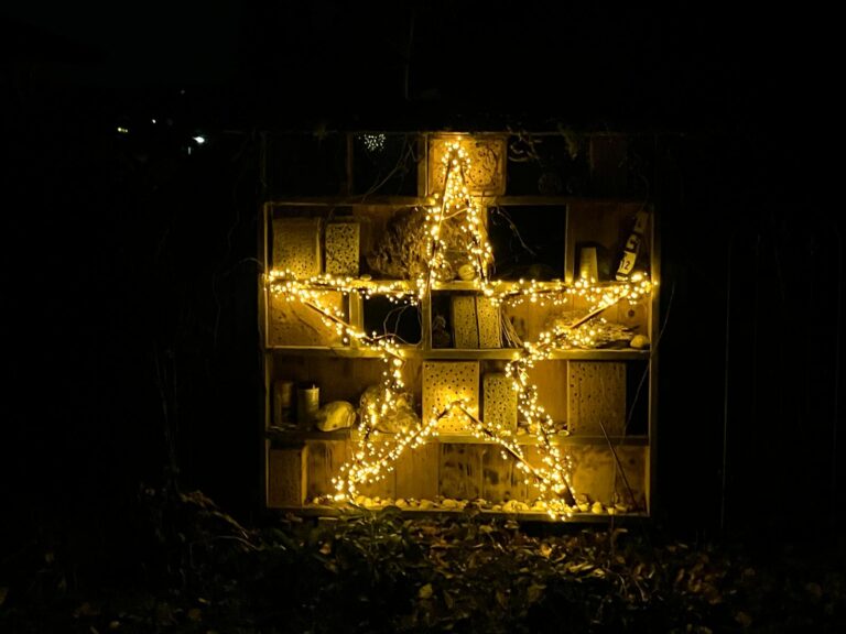 Frohe Weihnachten und einen guten Jahresausklang